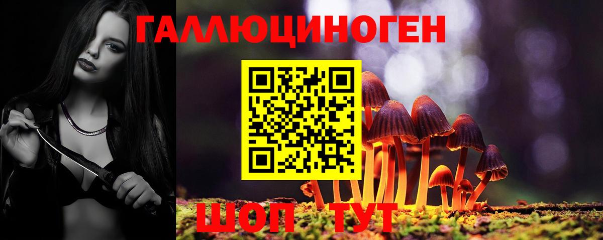 Галлюциногенные грибы Psilocybe  Вход с VPN  Воронеж 